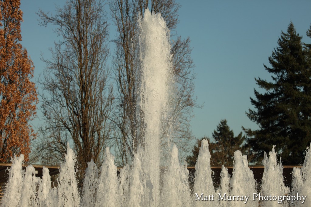 Queen Elizabeth Park Fountain