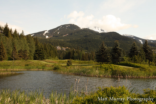 Summer Whistler Golf Club Wedding Location