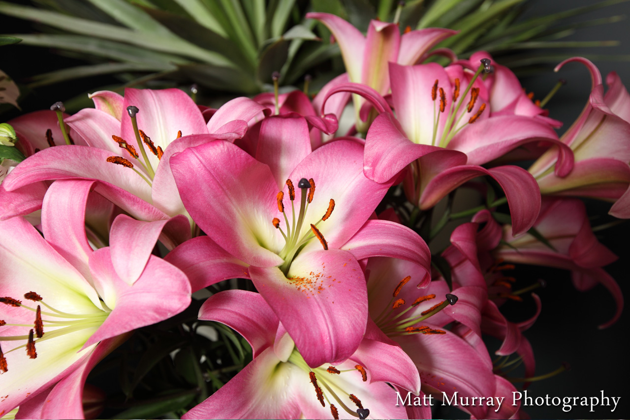 Wedding Ceremony Floral Detail Photography