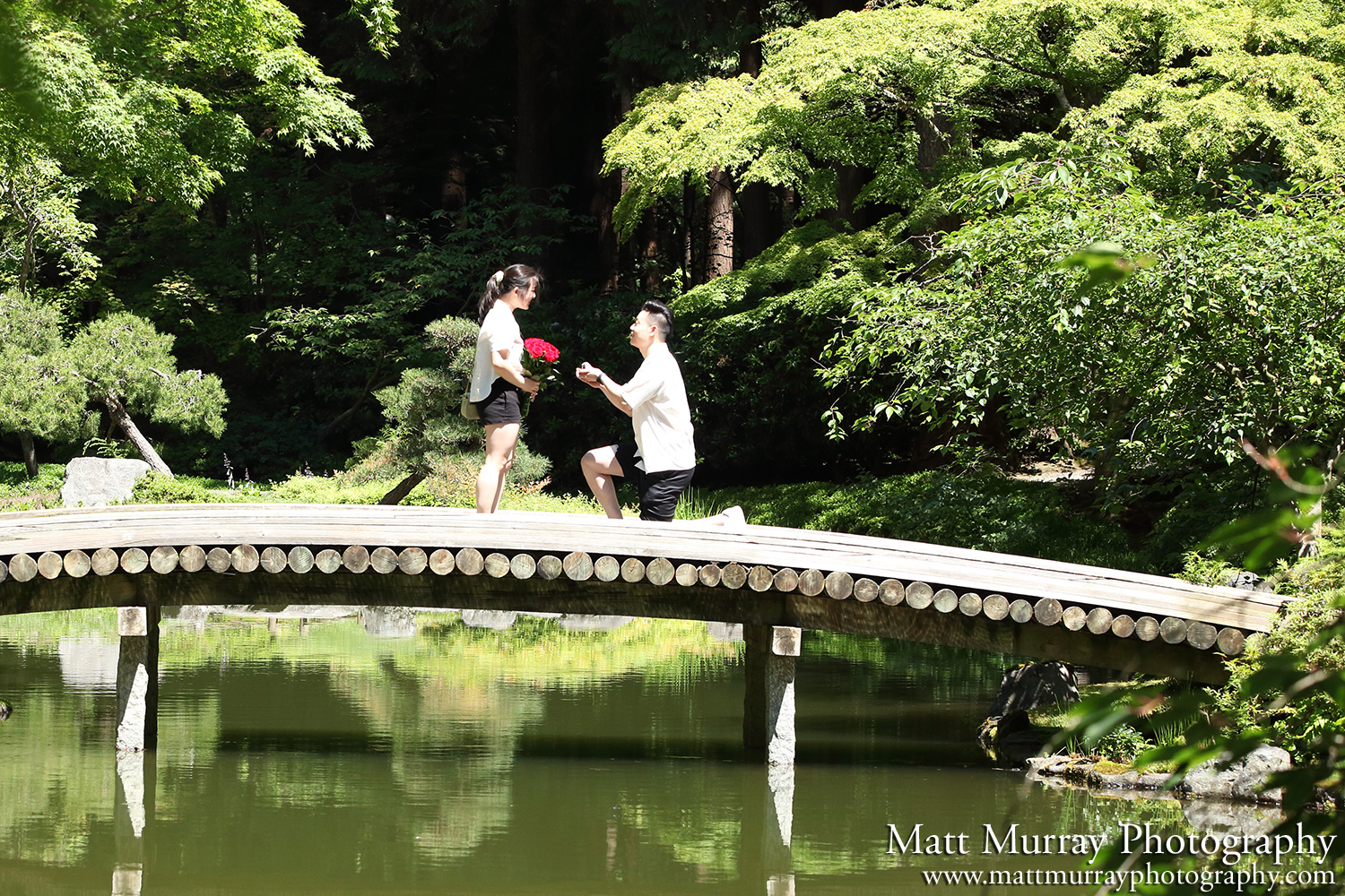 Nitobe Memorial Garden Engagement Proposal Summer