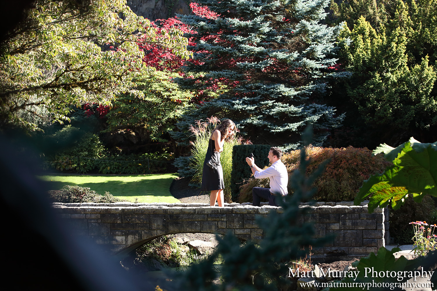 Vancouver Queen Elizabeth Park Fall Season Engagement Proposal