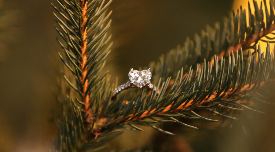 Capilano Suspension Bridge Canyon Lights Engagement