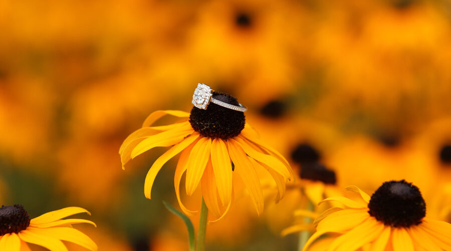 Vancouver Secret Engagement Proposal Photography Service