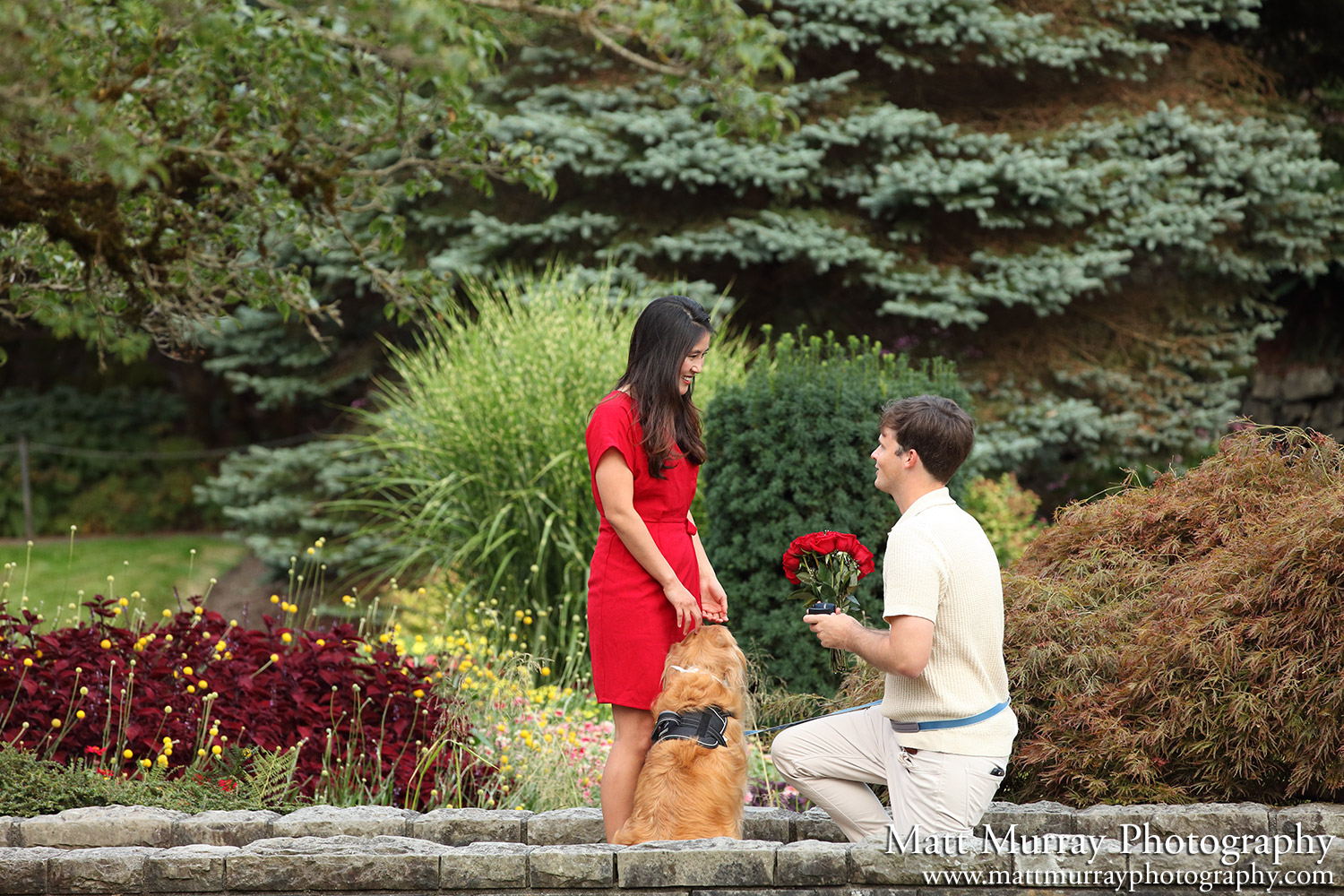 Secret Engagement Proposal Photography Service Fall Season